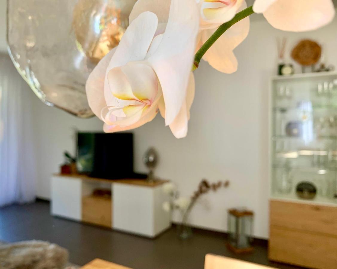 Bueelbad - Relax Holiday Apartment Kandersteg Ngoại thất bức ảnh