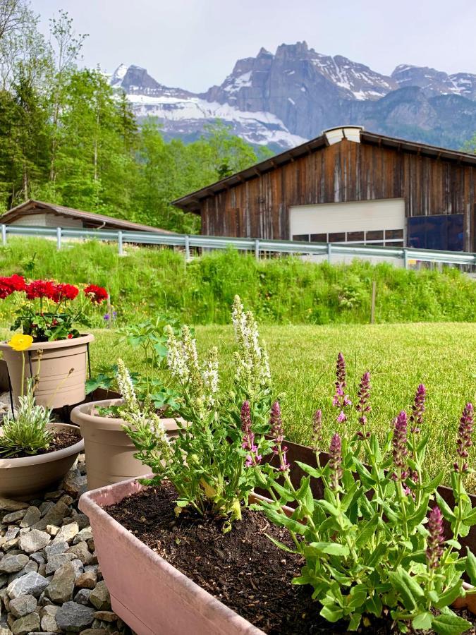 Bueelbad - Relax Holiday Apartment Kandersteg Ngoại thất bức ảnh