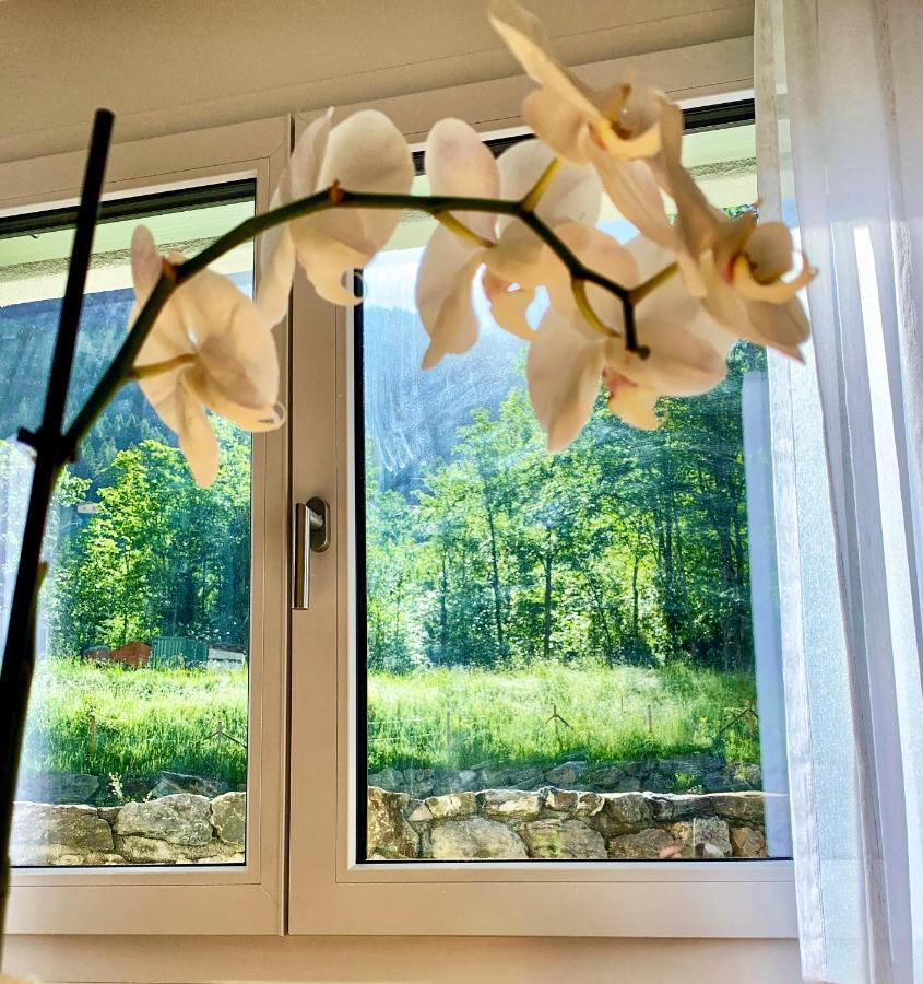 Bueelbad - Relax Holiday Apartment Kandersteg Ngoại thất bức ảnh