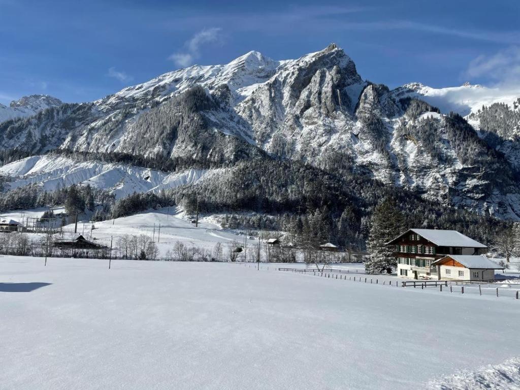 Bueelbad - Relax Holiday Apartment Kandersteg Ngoại thất bức ảnh